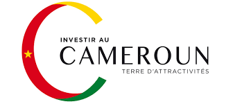 Investis Cameroun